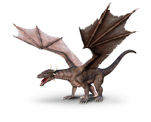 dragon contact