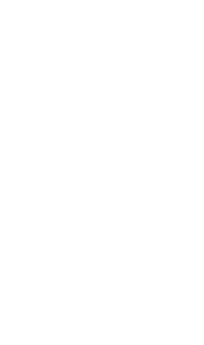 fans pattern