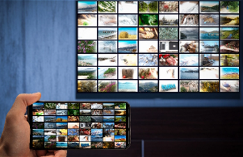 EXISTING OTT PLATFORMS